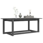 vidaXL Konferenčný stolík sivý 110x55x45 cm borovicový masív – Obrázok 6