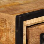 vidaXL TV skrinka z mangového dreva so zásuvkami 120x30x40 cm – Obrázok 2