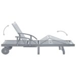 vidaXL Záhradné ležadlo sivé akáciový masív – Obrázok 5