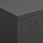 vidaXL Industriálna úložná skrinka, antracitová 75x40x115 cm, kov – Obrázok 3