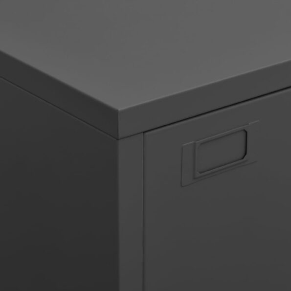 vidaXL Industriálna úložná skrinka, antracitová 75x40x115 cm, kov – Obrázok 3