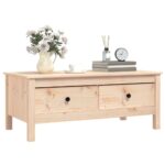 vidaXL Konferenčný stolík 100x50x40 cm borovicový masív – Obrázok 4