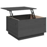 vidaXL Konferenčný stolík sivý 60x50x35 cm borovicový masív – Obrázok 8