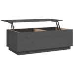 vidaXL Konferenčný stolík sivý 100x50x35 cm borovicový masív – Obrázok 8