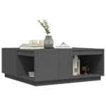 vidaXL Konferenčný stolík sivý 100x101x40,5 cm borovicový masív – Obrázok 4