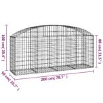 vidaXL Oblúkový gabionový kôš 200x50x80/100 cm pozinkované železo – Obrázok 5