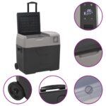 vidaXL Chladiaci box s kolieskom a rukoväťou čierno-sivý 36 l PP – Obrázok 8