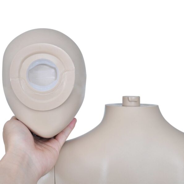 vidaXL Dámska figurína s okrúhlou hlavou – Obrázok 4