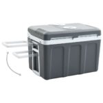 vidaXL Prenosný termoelektrický chladiaci box 40 l 12 V 230 V E – Obrázok 4