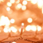 vidaXL LED reťaz, 300 diód, studená biela 30 m, PVC – Obrázok 3