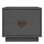 vidaXL Nočné stolíky 2 ks sivé 40x34x35 cm borovicový masív – Obrázok 5