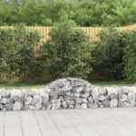 vidaXL Oblúkový gabionový kôš 13 ks 200x50x40/60 cm pozinkované železo