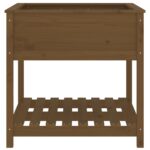 vidaXL Kvetináč s policou medovohnedý 82,5x82,5x81 cm masívna borovica – Obrázok 5