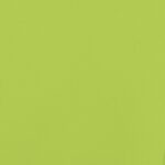 vidaXL Vozík za bicykel, čierno zelený 45 kg, železo – Obrázok 12