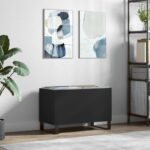 vidaXL Skrinka na platne čierna 74,5x38x48 cm kompozitné drevo