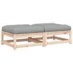 vidaXL Záhradné podnožky s podložkami 2 ks, borovicový masív – Obrázok 2