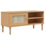 vidaXL TV skrinka SENJA ratanový vzhľad hnedá 106x40x49 cm borovica – Obrázok 2