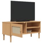 vidaXL TV skrinka SENJA ratanový vzhľad hnedá 106x40x49 cm borovica – Obrázok 4