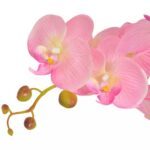 vidaXL Umelá rastlina, orchidea s kvetináčom 75 cm, ružová – Obrázok 2