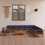 vidaXL 10-dielna záhradná sedacia súprava s tmavosivými podložkami akáciové drevo