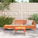 vidaXL Záhr. pohovka 3-miestna vosková hnedá borovicový masív – Obrázok 3