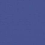 vidaXL Zaťahovacia bočná markíza, modrá 120x1000 cm – Obrázok 9