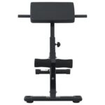 vidaXL Hyperextenzná lavica 120 kg Skladacia a nastaviteľná oceľ – Obrázok 4