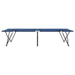 vidaXL Sklápacie ležadlá s nosnými taškami 2 ks Modré 600D Oxfordská tkanina – Obrázok 6