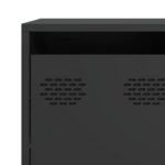 vidaXL Komoda čierna 135x39x73,5 cm oceľ valcovaná za studena – Obrázok 10