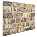 vidaXL Nástenné panely 10 pcs Viacfarebný 100 x 50 cm EPS pena