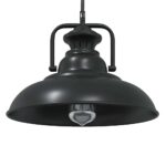 vidaXL Závesná lampa E27 čierna Ø 31 cm železná