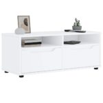 vidaXL TV skrinka „VISNES“ biela 100x40x38 cm, drevo