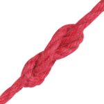 vidaXL Jutové lano 2 pcs Červená 100% Tossa juta – Obrázok 3