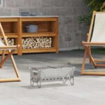 vidaXL Kempingový ohnisko 42 x 22 x 18 cm Nehrdzavejúca oceľ