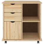 vidaXL Koliesková skriňa s kolesom Hnedá 63,5 x 39 x 65,5 cm – Obrázok 4