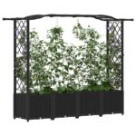 vidaXL Vyvýšený záhon s mriežkou a strechou Čierna 204 x 40 x 138 cm – Obrázok 3