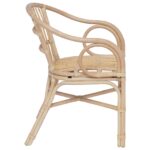 vidaXL Stohovateľná stolička Prírodná 58 x 60 x 81 cm Ratan – Obrázok 5