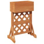 vidaXL Vertikálny záhradný trellis Oranžová 48 x 30 x 70,5 cm – Obrázok 2
