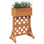 vidaXL Vertikálny záhradný trellis Oranžová 48 x 30 x 70,5 cm – Obrázok 3
