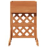 vidaXL Vertikálny záhradný trellis Oranžová 48 x 30 x 70,5 cm – Obrázok 5