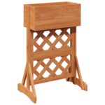 vidaXL Vertikálny záhradný trellis Oranžová 48 x 30 x 70,5 cm – Obrázok 7