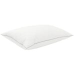 vidaXL Súprava paplónu z 90% husacieho peria FULDA 2 ks 140 x 200 cm – Obrázok 3