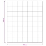 vidaXL Súprava paplónu z 90% husacieho peria FULDA 3 ks 200 x 240 cm – Obrázok 11