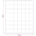 vidaXL Súprava paplónu z 90% husacieho peria FULDA 3 ks 200 x 220 cm – Obrázok 11