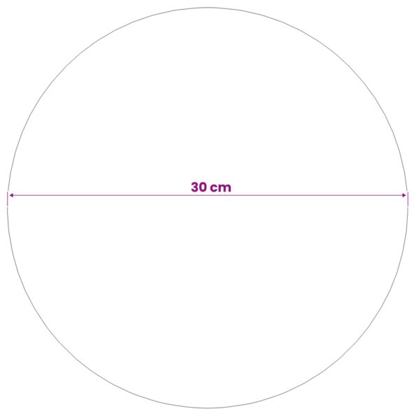vidaXL Brúsená guľa Ø 30 cm Strieborná Nerezová oceľ 201 – Obrázok 5