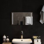 vidaXL Zrkadlo do kúpeľne s LED Priehľadná 50 x 30 cm tvrdené sklo