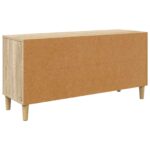 vidaXL TV skrinka GENNEP 102 x 33 x 50 cm Sonoma Kompozitné drevo – Obrázok 4