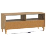 vidaXL LED TV kabinet Dub artisan Kompozitné drevo – Obrázok 6