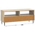 vidaXL LED TV kabinet Dub sonoma Kompozitné drevo – Obrázok 6