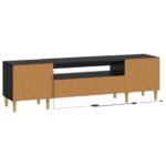 vidaXL LED TV kabinet Čierna Kompozitné drevo – Obrázok 6